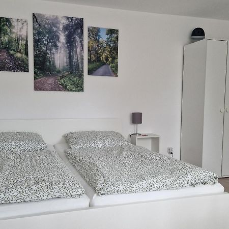 Waldbergperle Ernsbach Hotel Forchtenberg Bagian luar foto